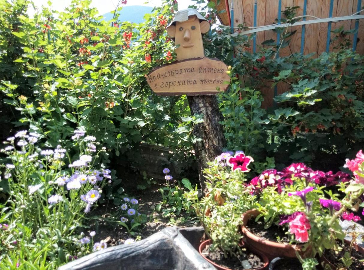 Guest House Milka Yagodina Buitenkant foto